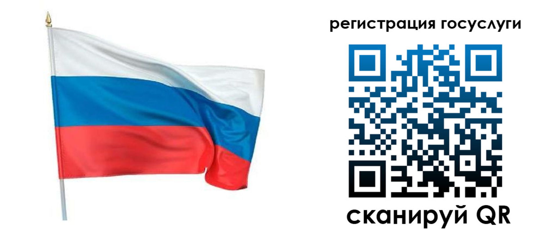 прописка паспорт в Судогде